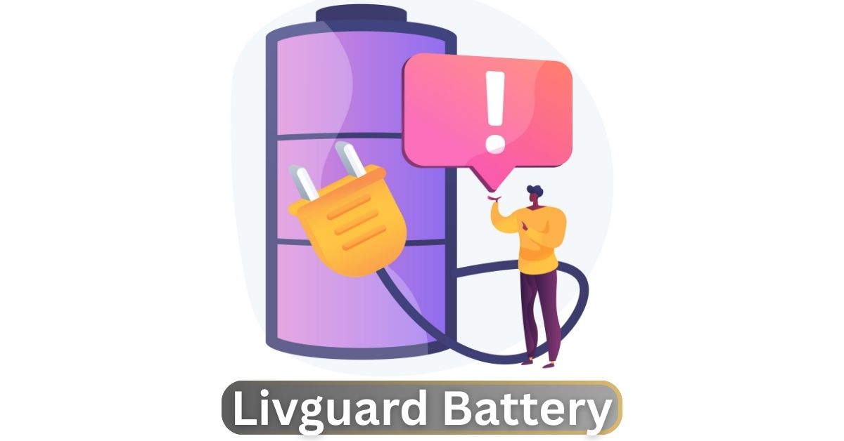 Livguard Battery